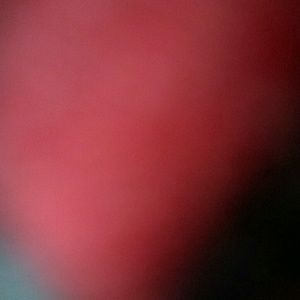 Meet your Posher, Staci